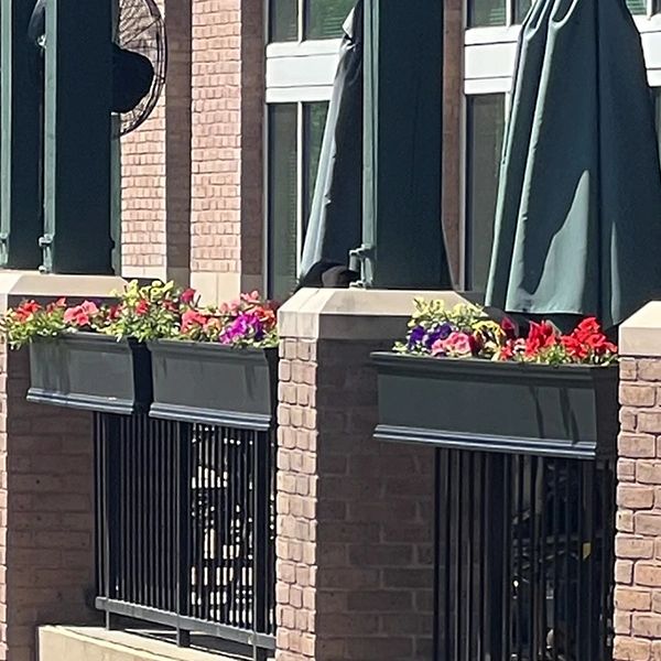 Adding Life to Your Deck or Balcony