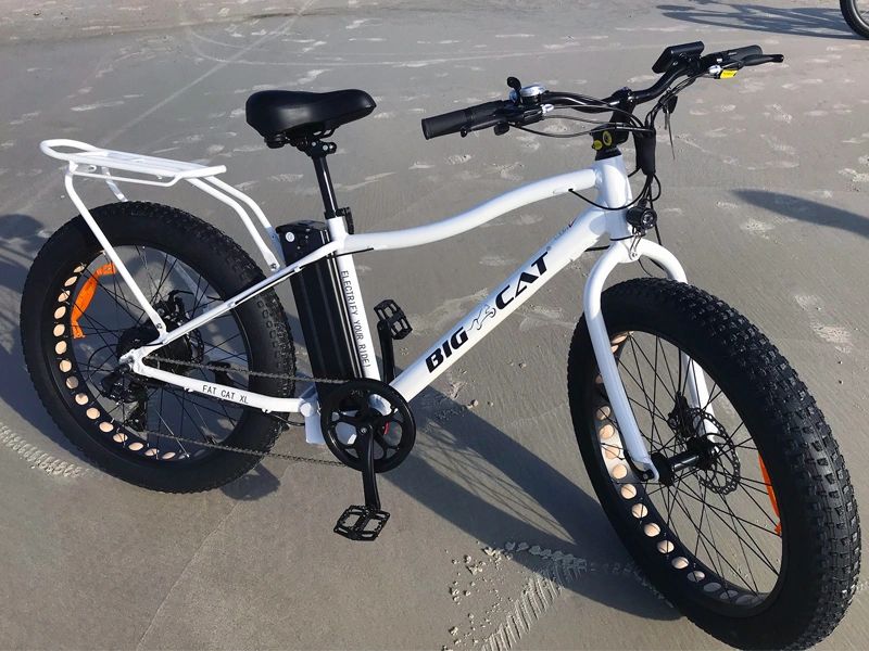 Big cat cheap bike dealers