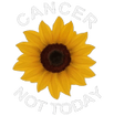 Cancer Not Today