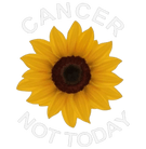 Cancer Not Today