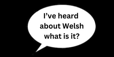 Speech bubble: I've heard about Welsh. What is it?