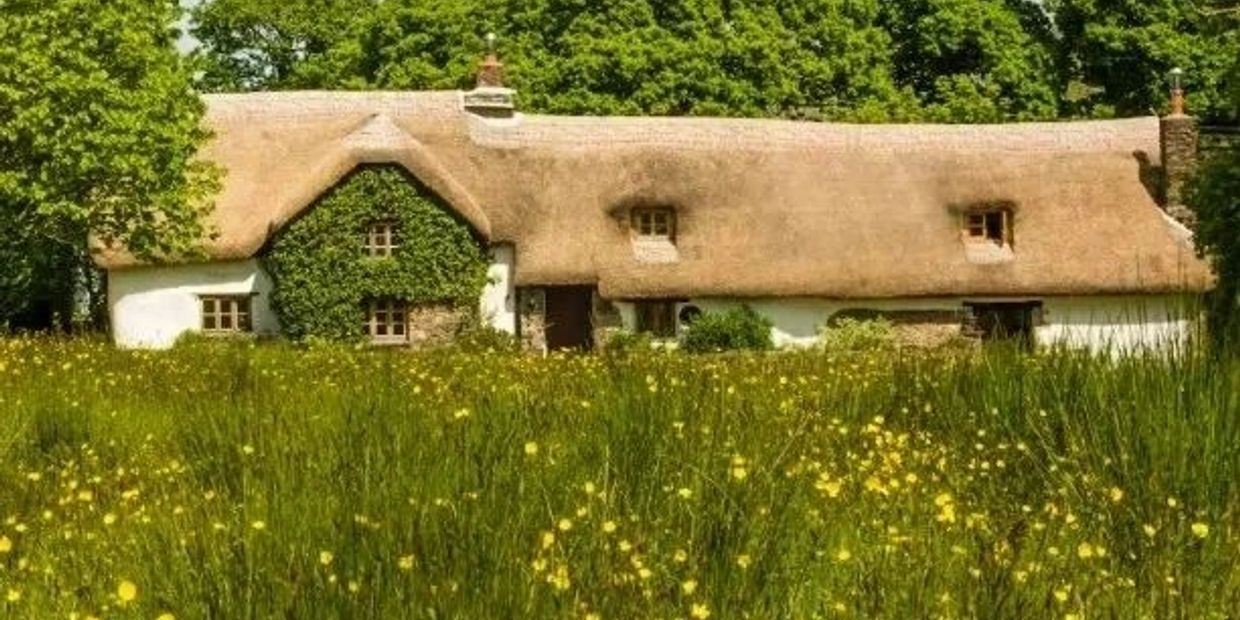 Thatched-roof cottage surrounded by greenery and yellow flowers.