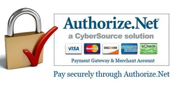 online payment solutions