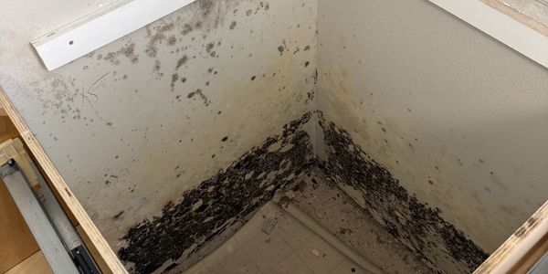 Severe mold growth on walls in a corner space.