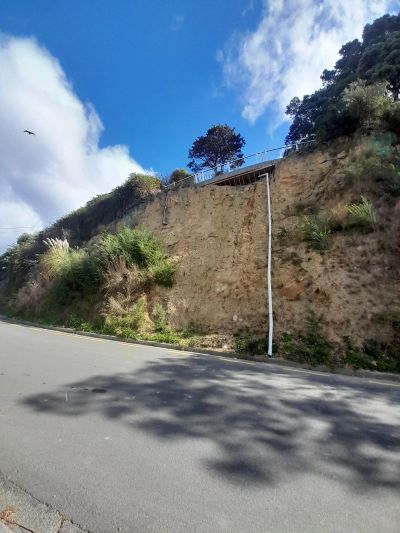 Cliff with vegetation and a vertical pipe beside a road.