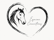 Welcome to Equine Connections