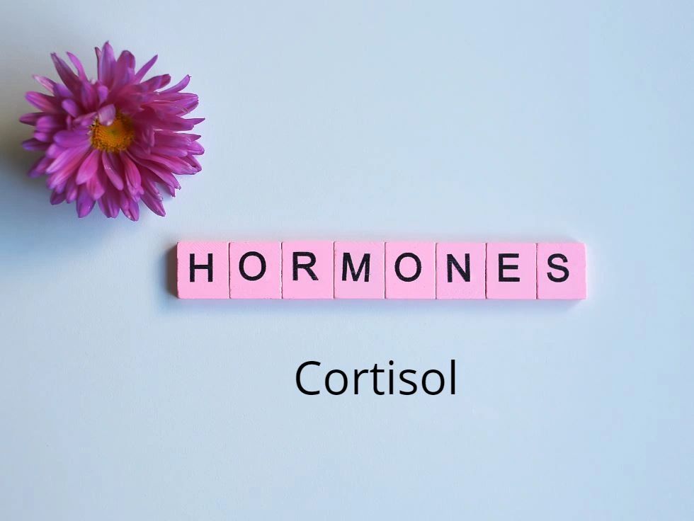 How cortisol is often in the way of weight loss
