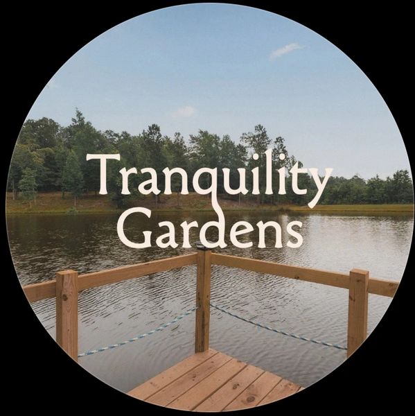 Great for small groups, friends, or individuals wanting a retreat space to rest, reflect, or reset.