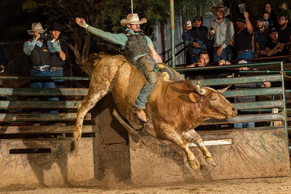 Bully youth hats – Cowboys Ride Away Boutique