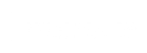 Bridge Wellness