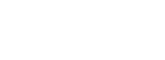 Bridge Wellness
