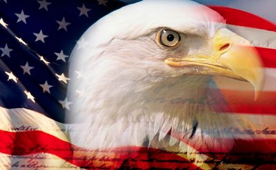 A majestic bald eagle with the American flag in the background.