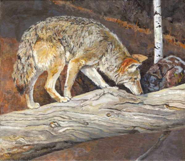 Coyote painting