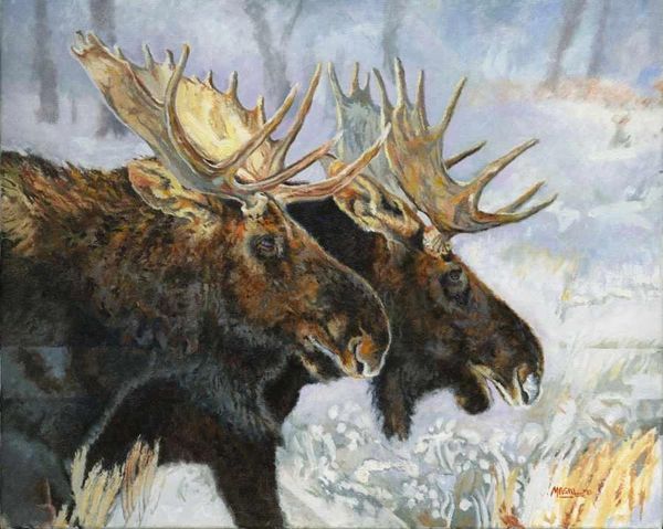 Moose