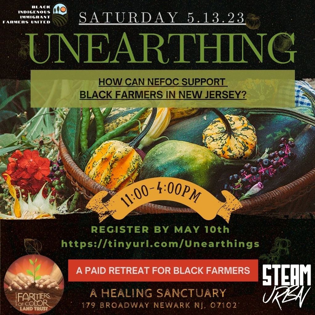 UNEARTHING Program Flyer