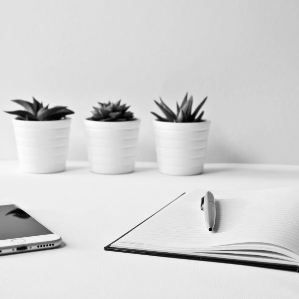 Notebook, pen, smartphone, and three potted succulents on a white surface.