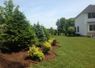 Give privacey screening a little edge and layer it with shrubs for a more interesting effect