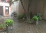 image19