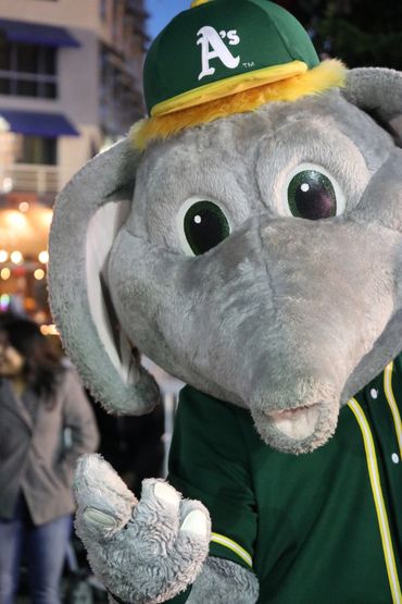 Oakland Athetic's Mascot, "Stomper."