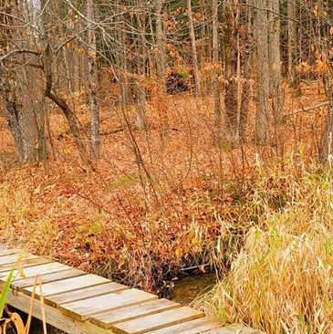 Wooden bridge in autumn forest.