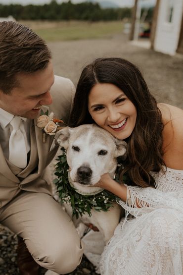 Greenery dog collar for wedding