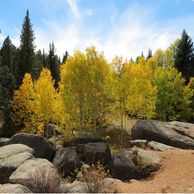 Rocky terrain with yellow autumn trees under a blue sky.