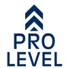 Logo with upward arrows and the words 'PRO LEVEL' in bold blue letters.