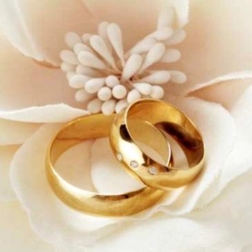 Two gold wedding rings resting on a white flower.