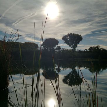 A cloudy sunset perfectly reflected in a still pond; photo credit Marcy McDonald.