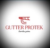 Gutter Pro Tek