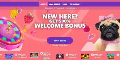 Spinpug casino homepage