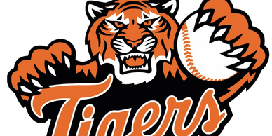 A fierce tiger gripping a baseball with the word 'Tigers'.
