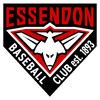 Essendon Baseball logo with a stylized bird and establishment year 1893.