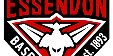 Essendon Baseball logo with a stylized bird and establishment year 1893.