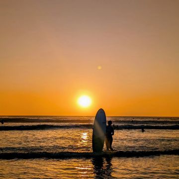 Surfer standing in the ocean with a surfboard during a golden sunset.