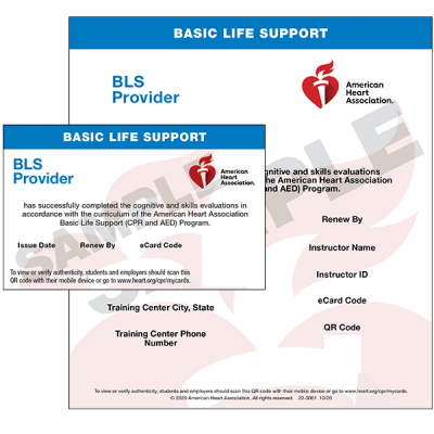 American Heart Association Basic Life Support Provider card with QR code and instructor details.