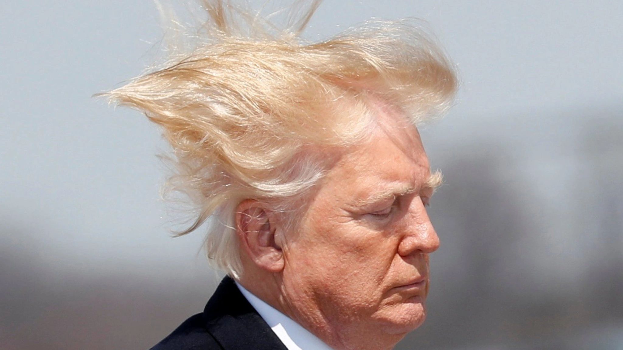 Orange Toupee