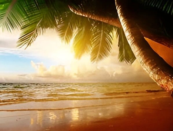 Sunny beach with palm trees.