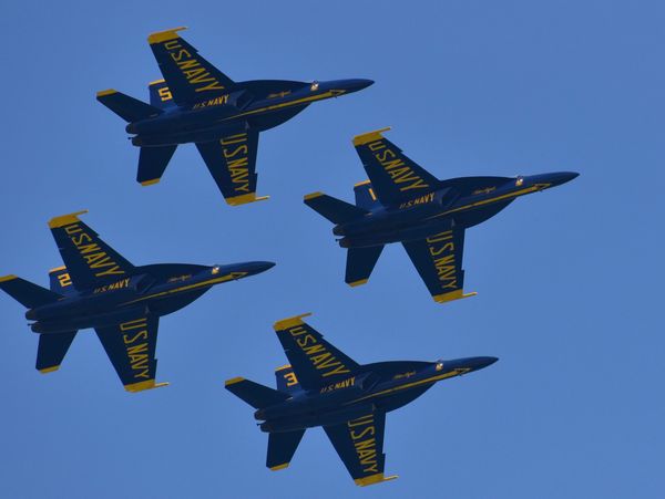 Four US Navy Blue Angels jets flying in tight formation against a clear blue sky.