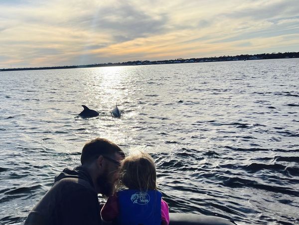 A man and child watch dolphins swim near their boat at sunset.