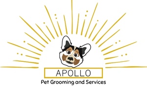 Apollo Pet Services and Grooming