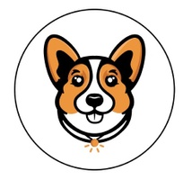 Apollo Pet Service and Grooming