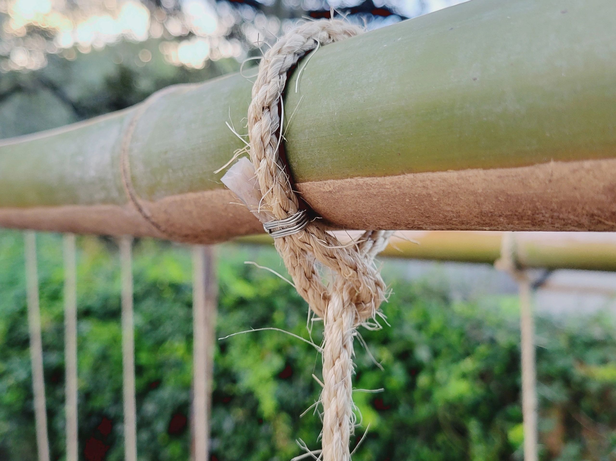 Build a Bamboo Arbor Trellis