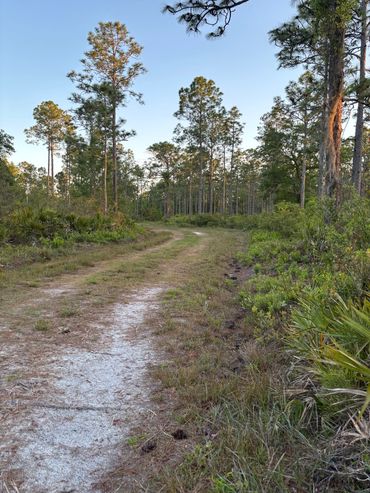 Over 2000 miles of trails across from the barn
