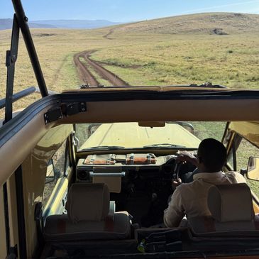 View from inside a safari vehicle driving on a dirt track in a grassy landscape.