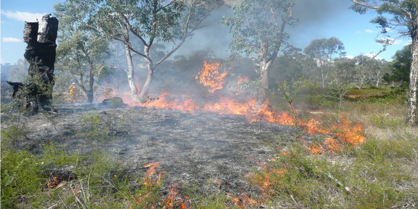 Prescribed_Burning_FireHorizon