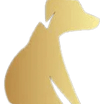 Pawsitive Care