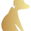 Pawsitive Care