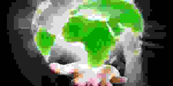 green sustainable cleaning product