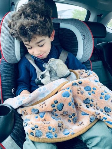  A boy Hold the puppy inside the car